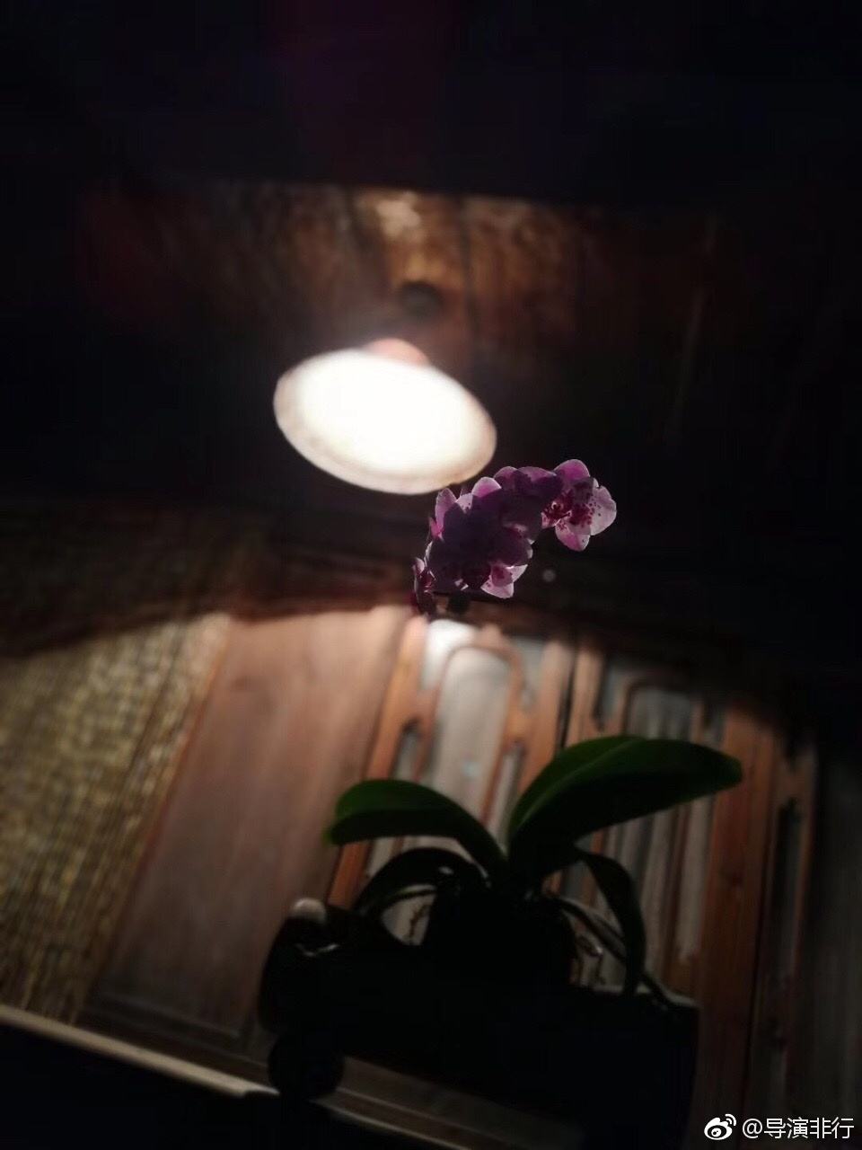 云南虫谷剧照的剧照