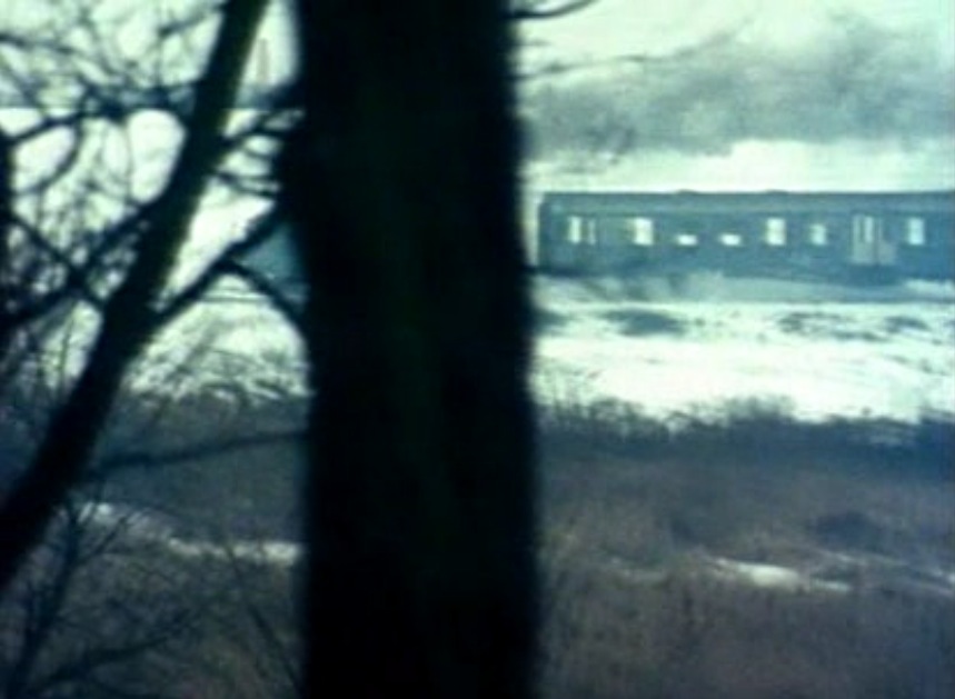 异乡人剧照的剧照