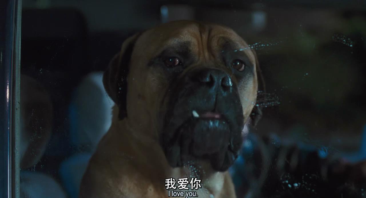 怪医杜立德剧照的剧照