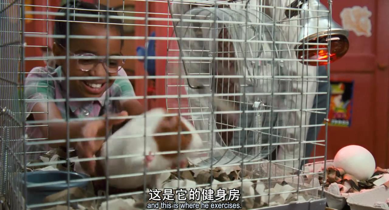 怪医杜立德剧照的剧照