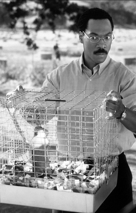 怪医杜立德剧照的剧照