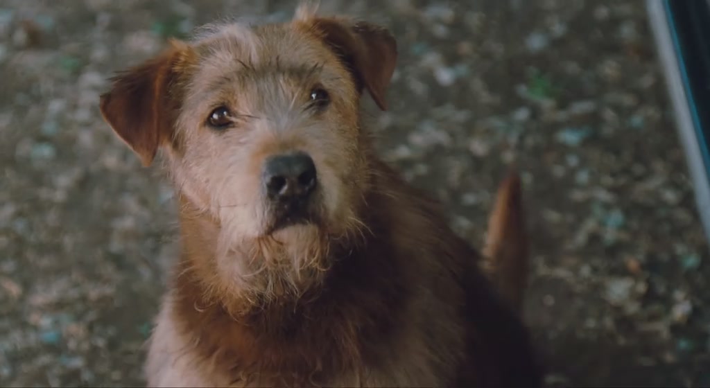 怪医杜立德剧照的剧照