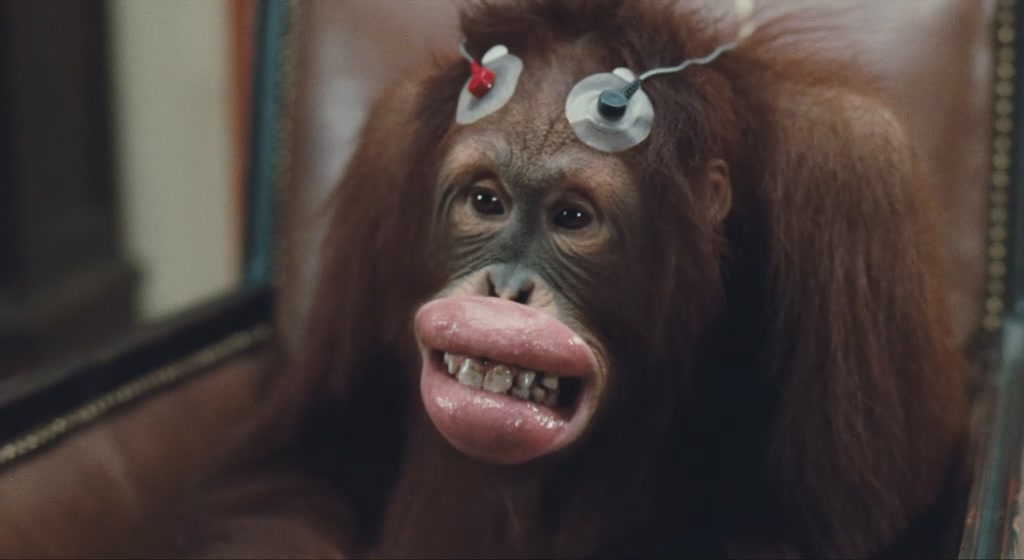 怪医杜立德剧照的剧照