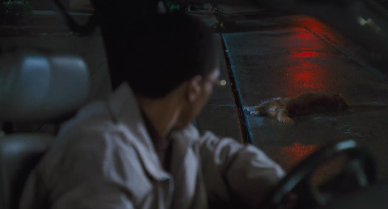 怪医杜立德剧照的剧照