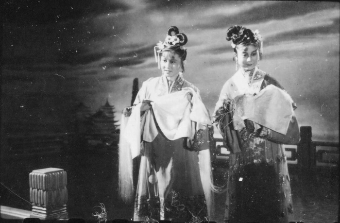 天仙配剧照的剧照