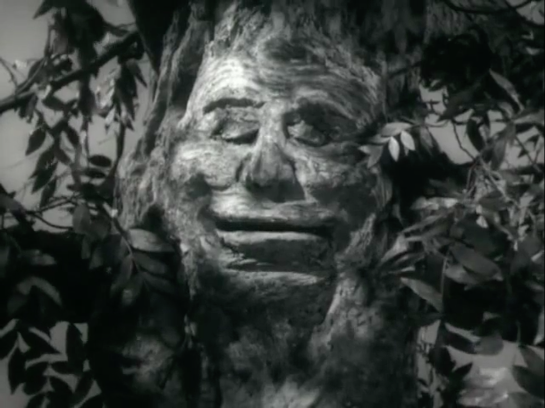 天仙配剧照的剧照