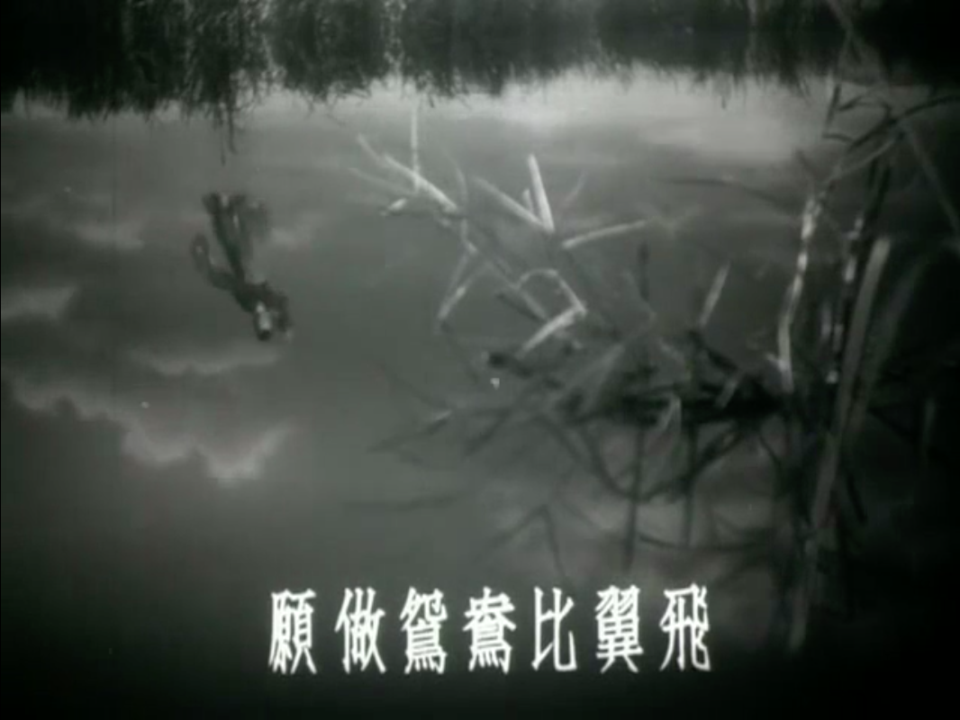 天仙配剧照的剧照