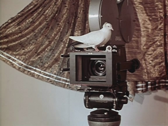 吟游诗人剧照的剧照