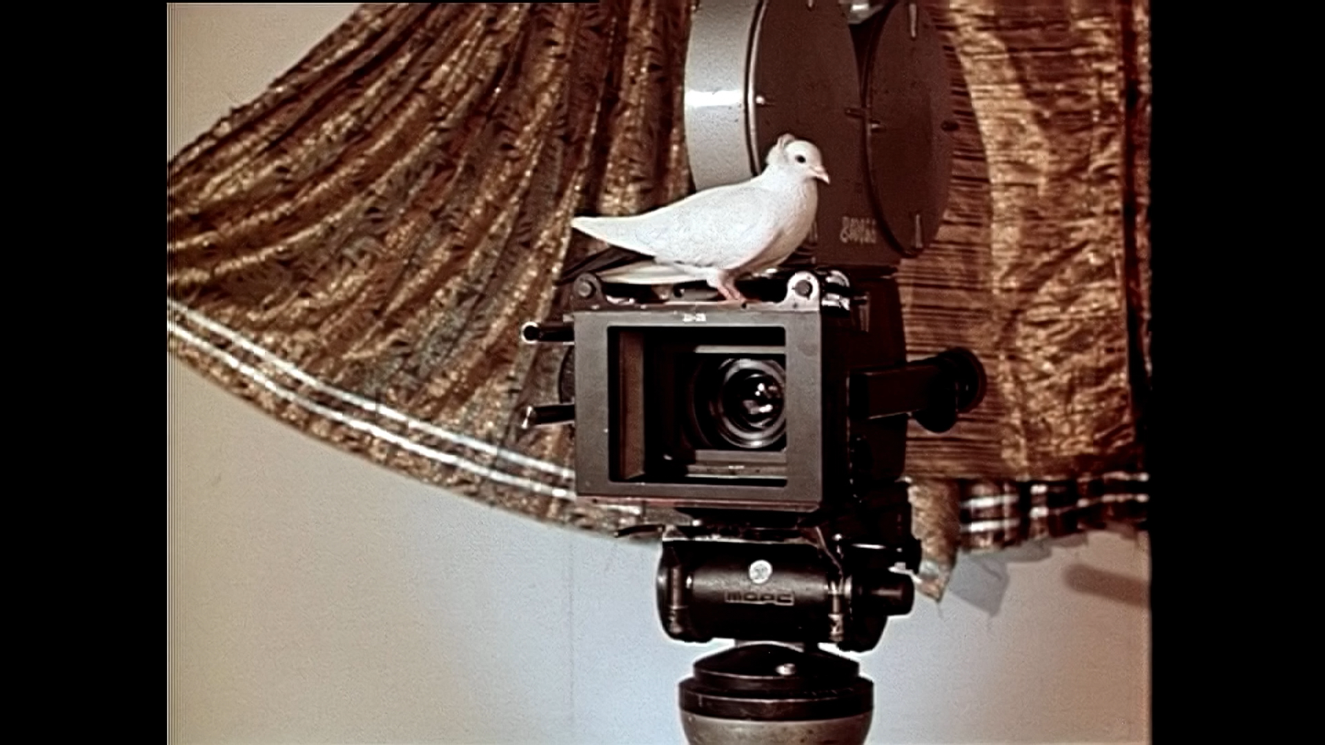 吟游诗人剧照的剧照