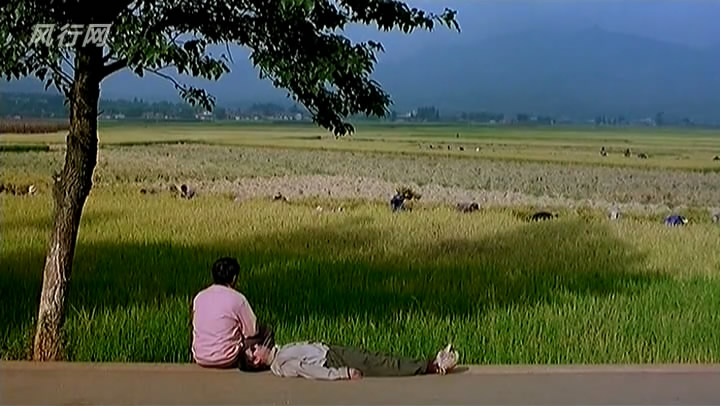 落叶归根剧照的剧照