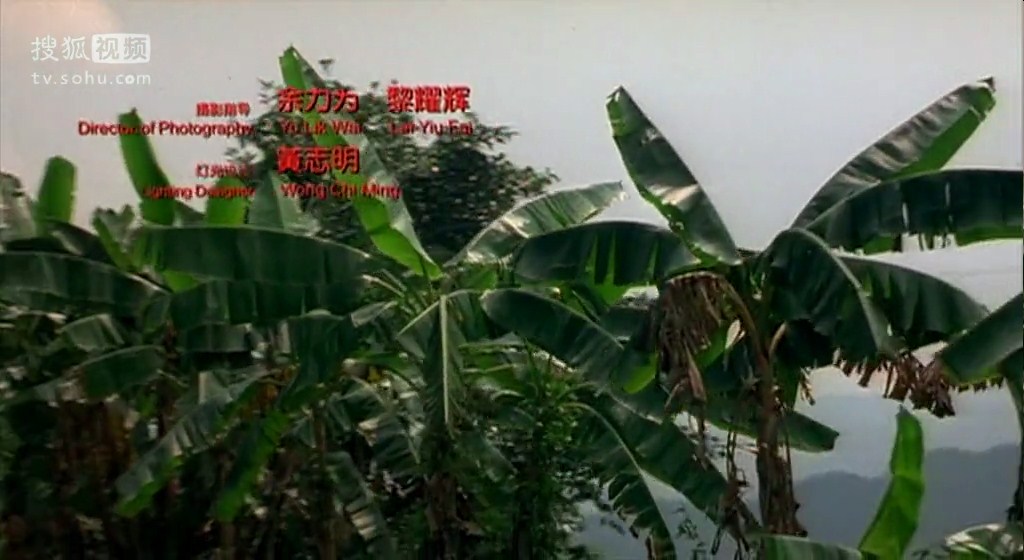 落叶归根剧照的剧照