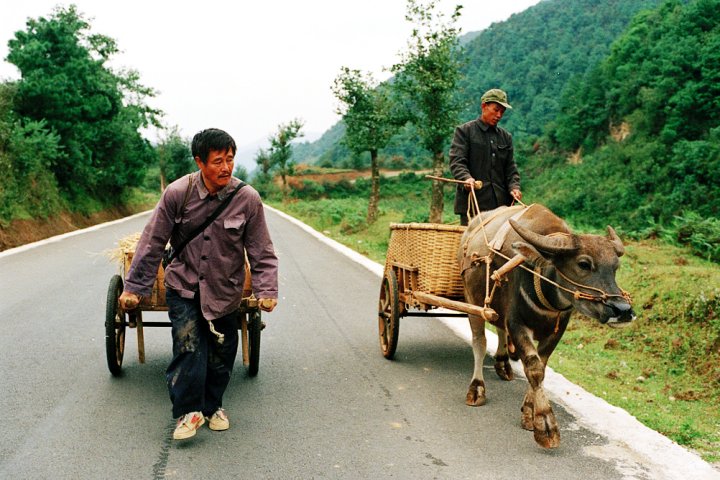 落叶归根剧照的剧照