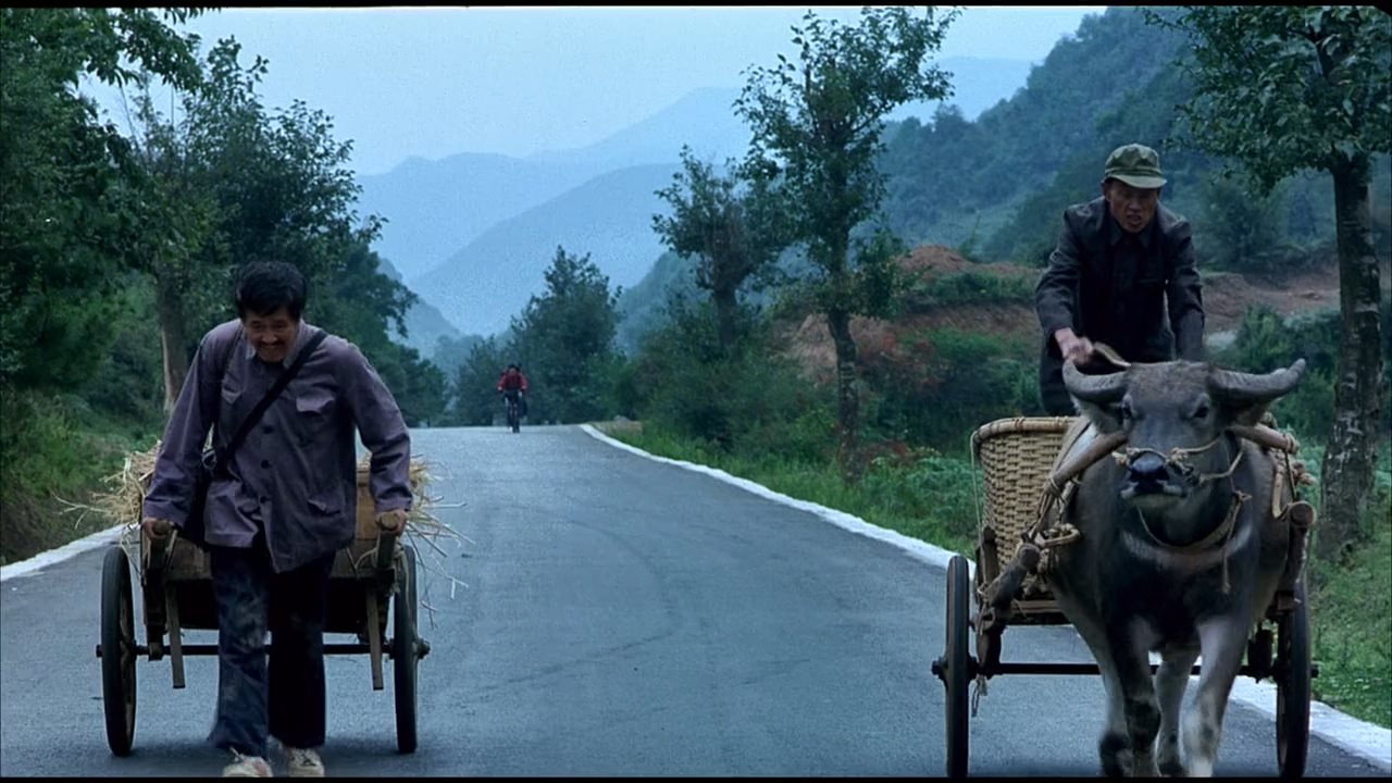 落叶归根剧照的剧照