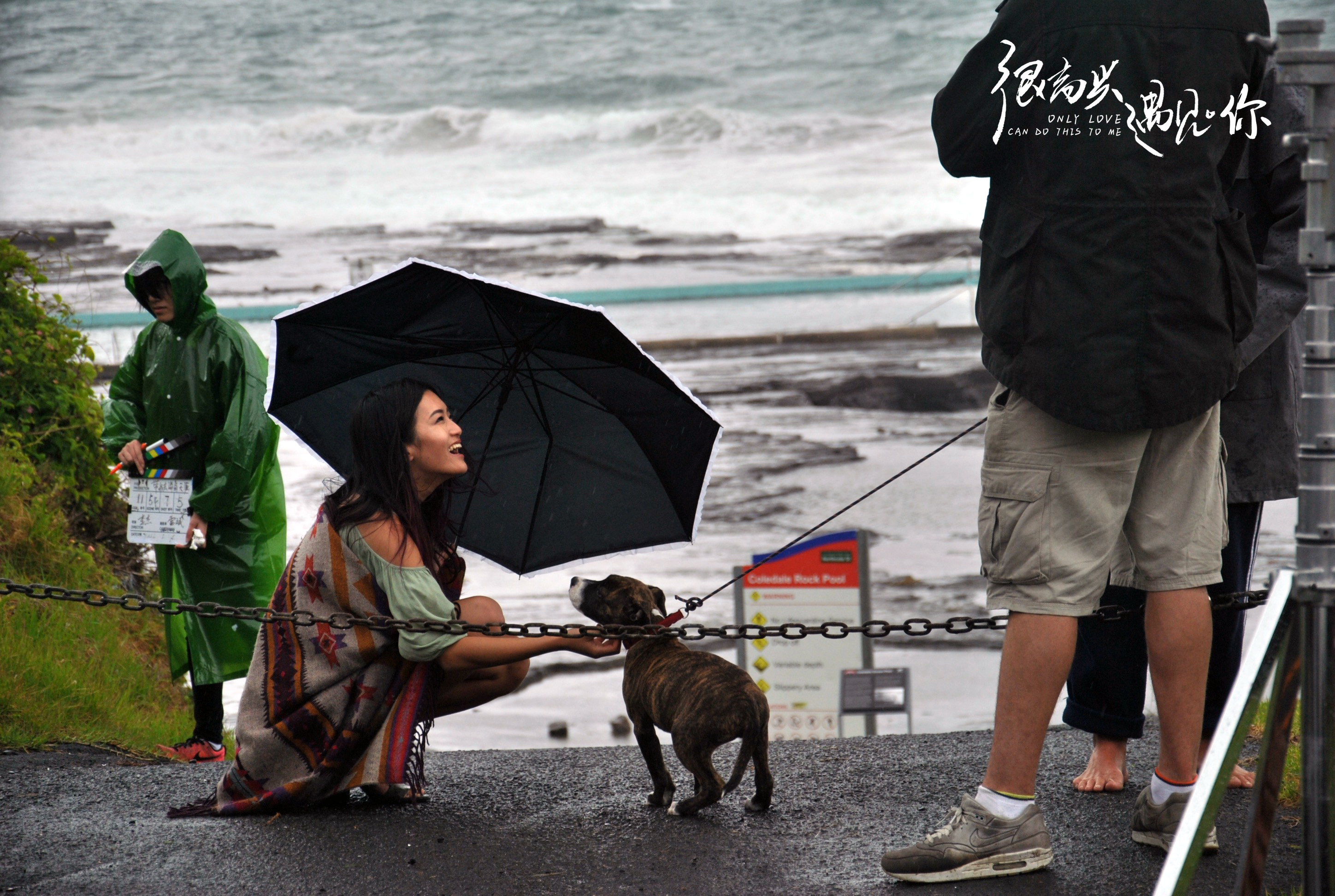 很高兴遇见·你剧照的剧照