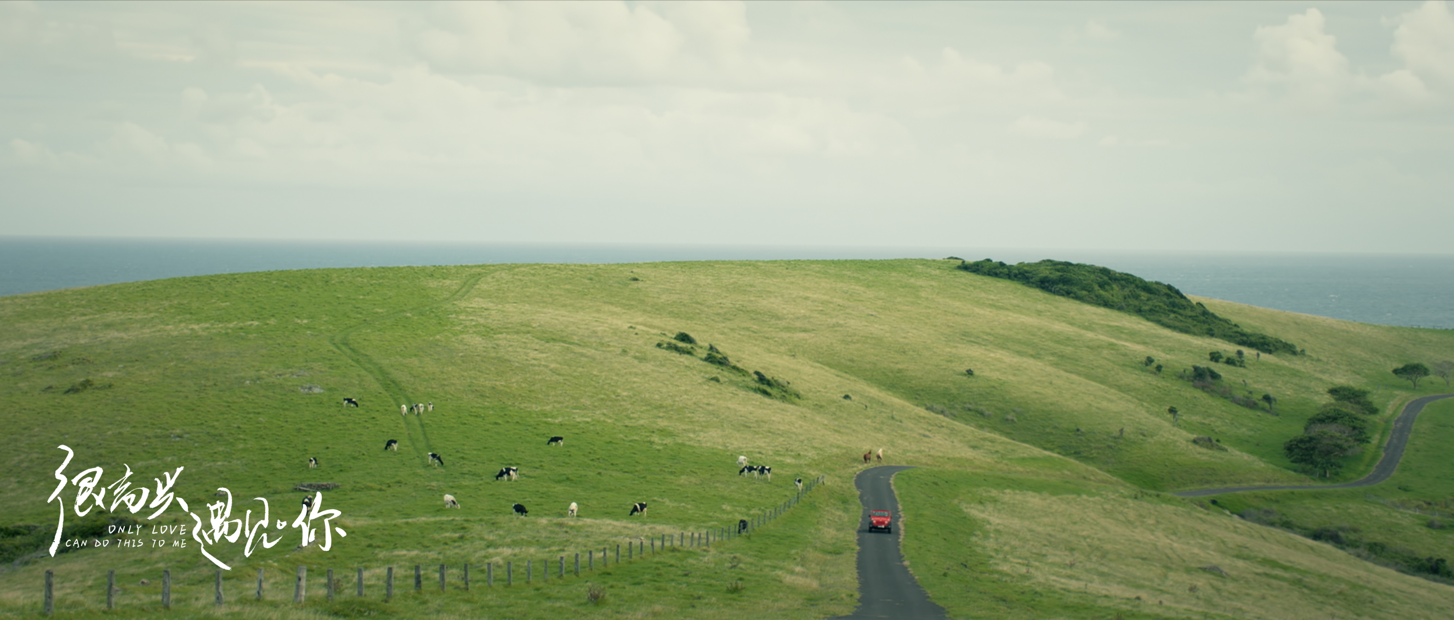 很高兴遇见·你剧照的剧照