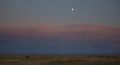 赛马皮特剧照的剧照