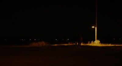 赛马皮特剧照的剧照