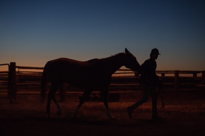 赛马皮特剧照的剧照