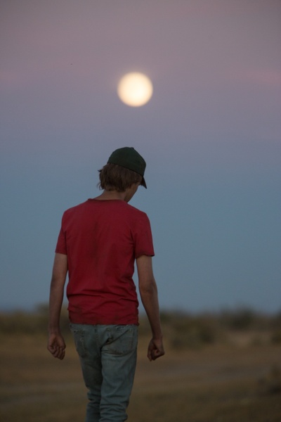 赛马皮特剧照的剧照