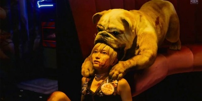 杀手餐厅剧照的剧照