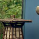 大梦西游3女儿国奇遇记剧照