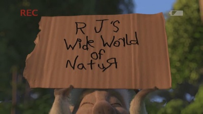 哈宝的飞镖冒险剧照的剧照