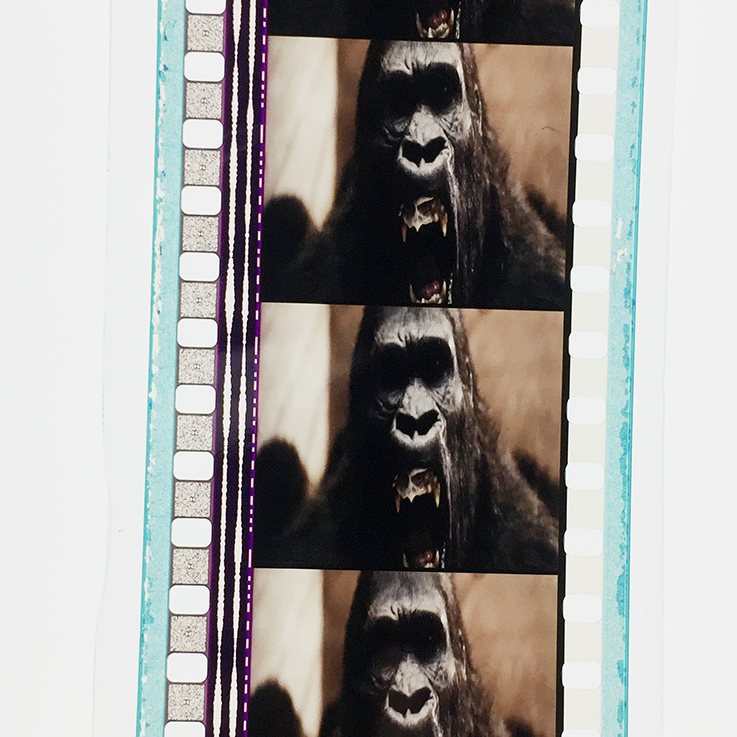 凶兆剧照的剧照