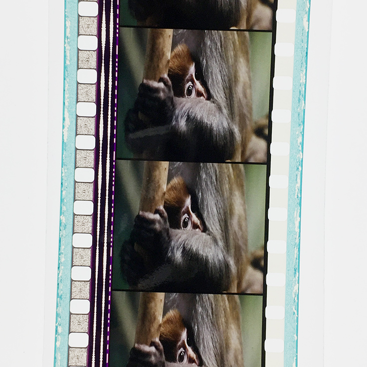 凶兆剧照的剧照