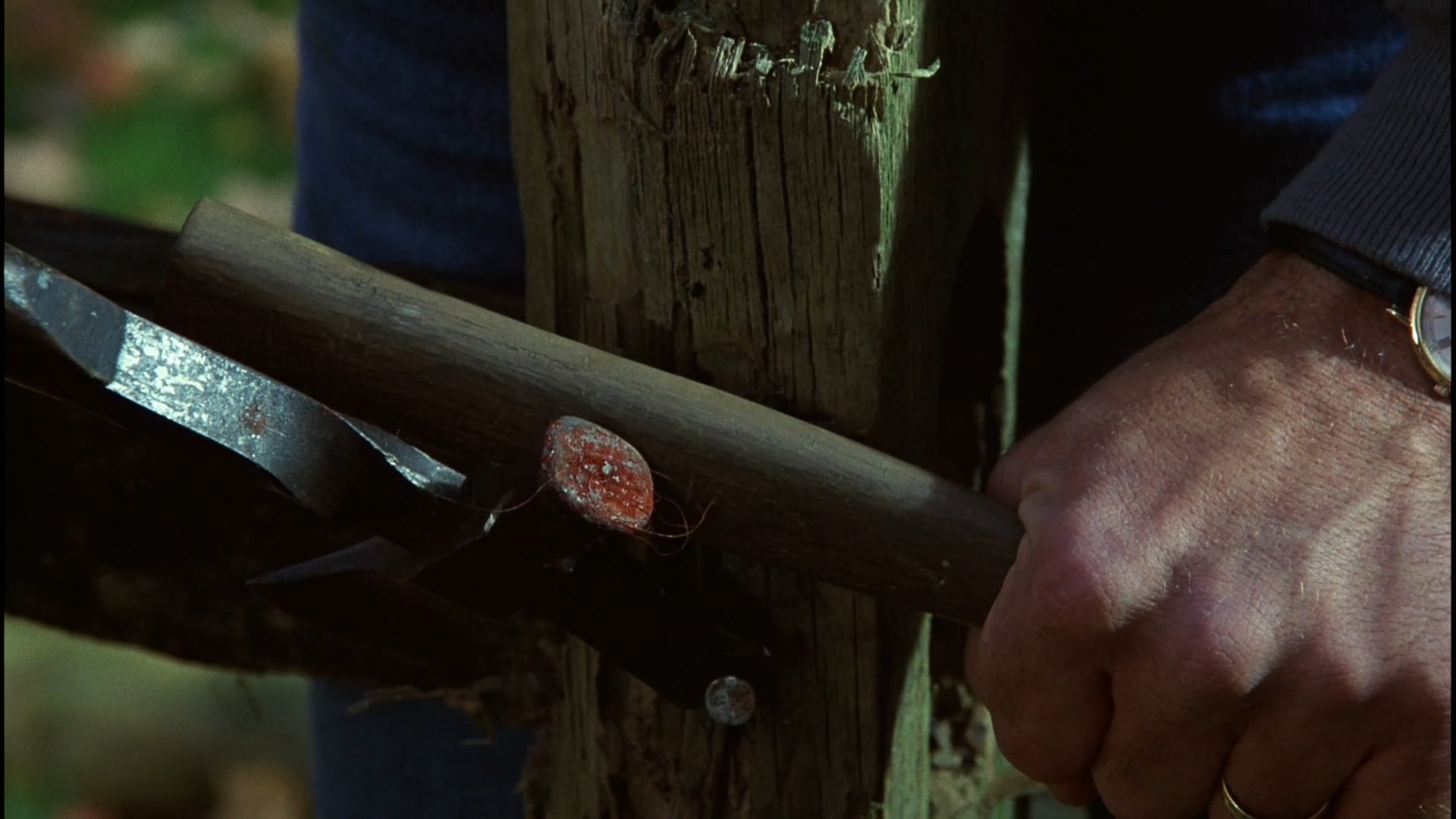 无罪的罪人剧照的剧照