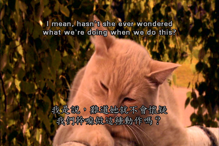 怪医杜立德5：百万傻蛋剧照的剧照