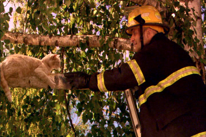 怪医杜立德5：百万傻蛋剧照的剧照