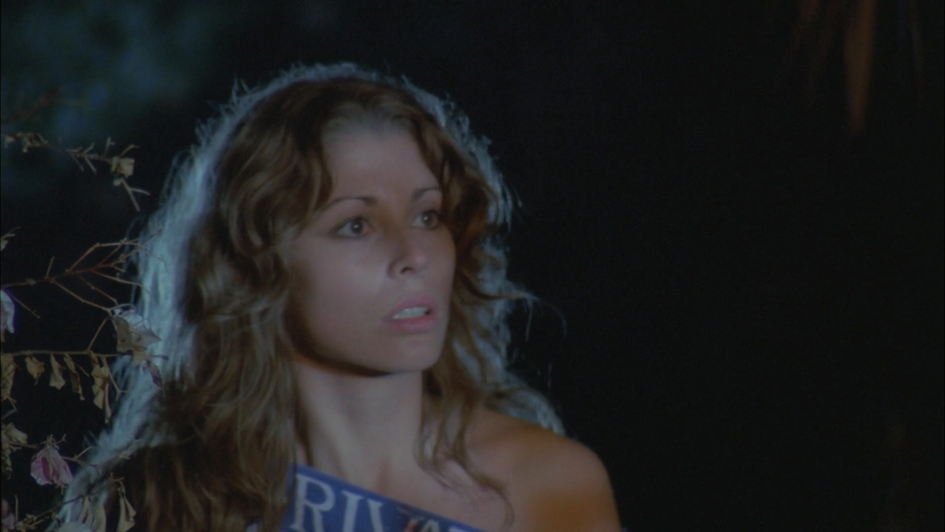 血色月亮剧照的剧照