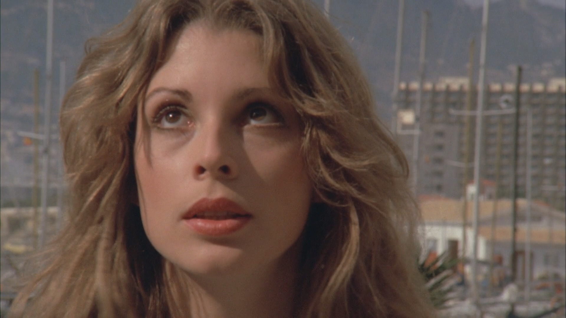 血色月亮剧照的剧照