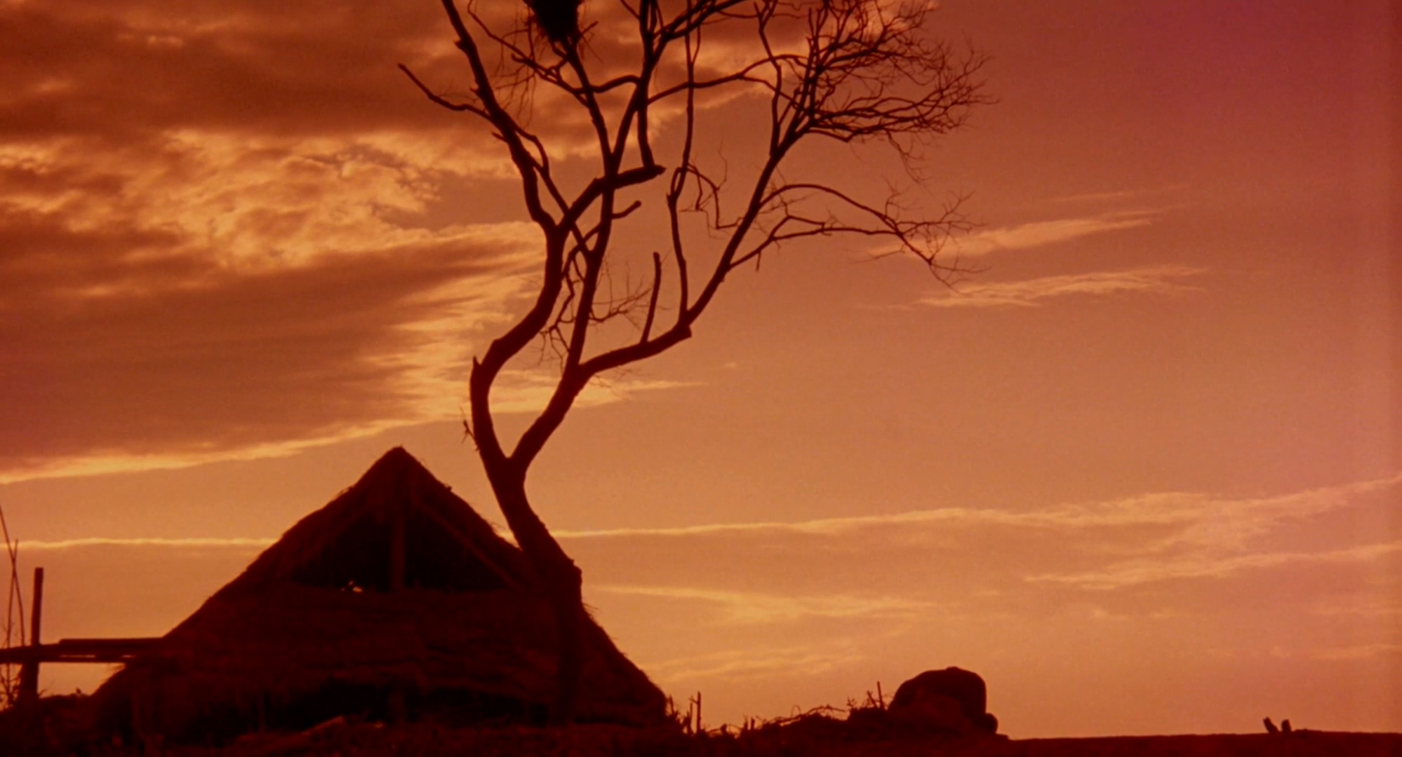 孩子王剧照的剧照