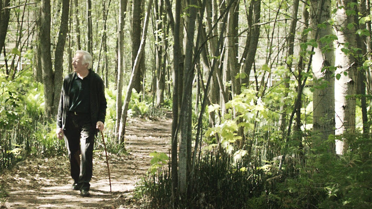 老人日记剧照的剧照