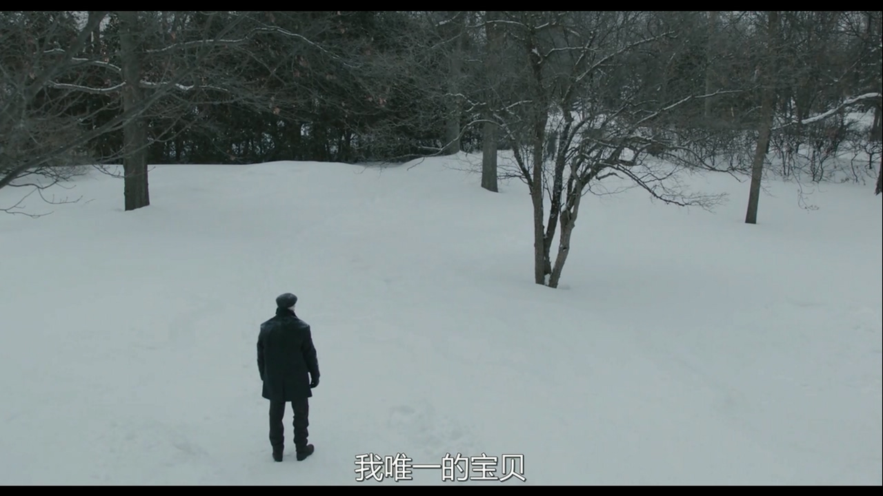 老人日记剧照的剧照