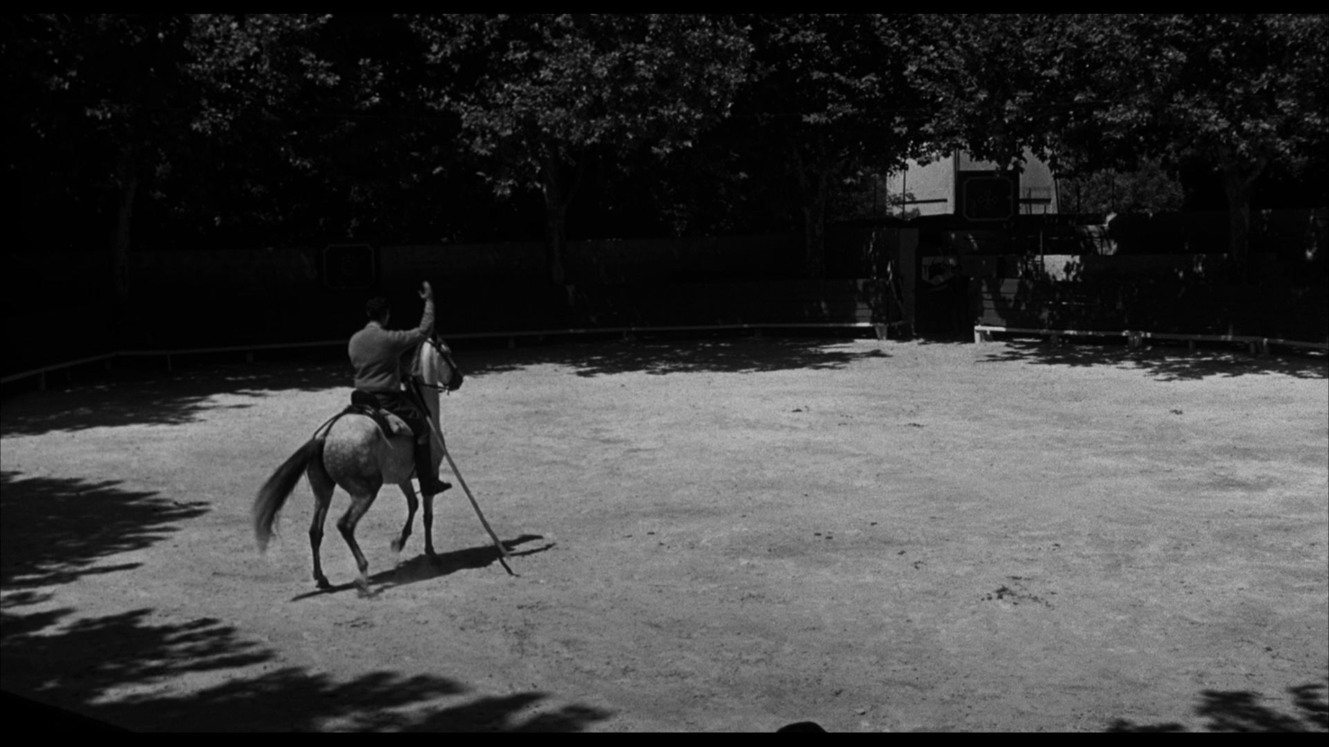 十面埋伏擒蛟龙剧照的剧照