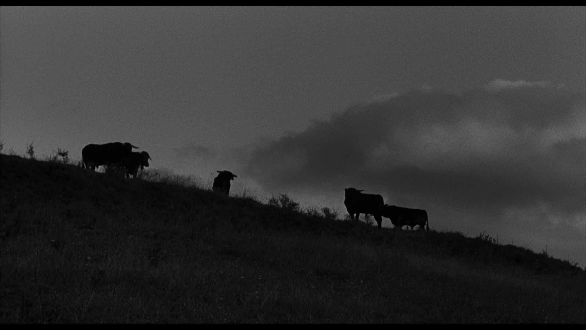 十面埋伏擒蛟龙剧照的剧照