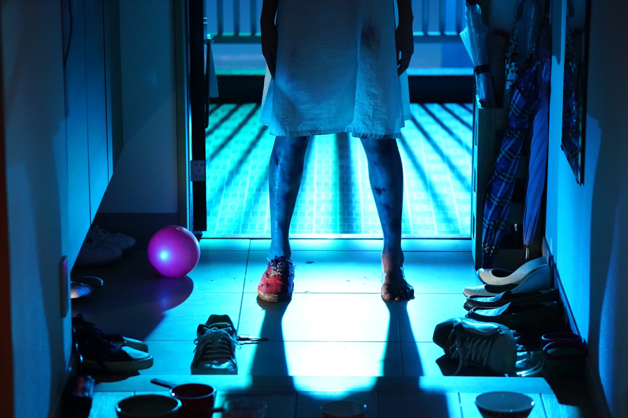 来了剧照的剧照