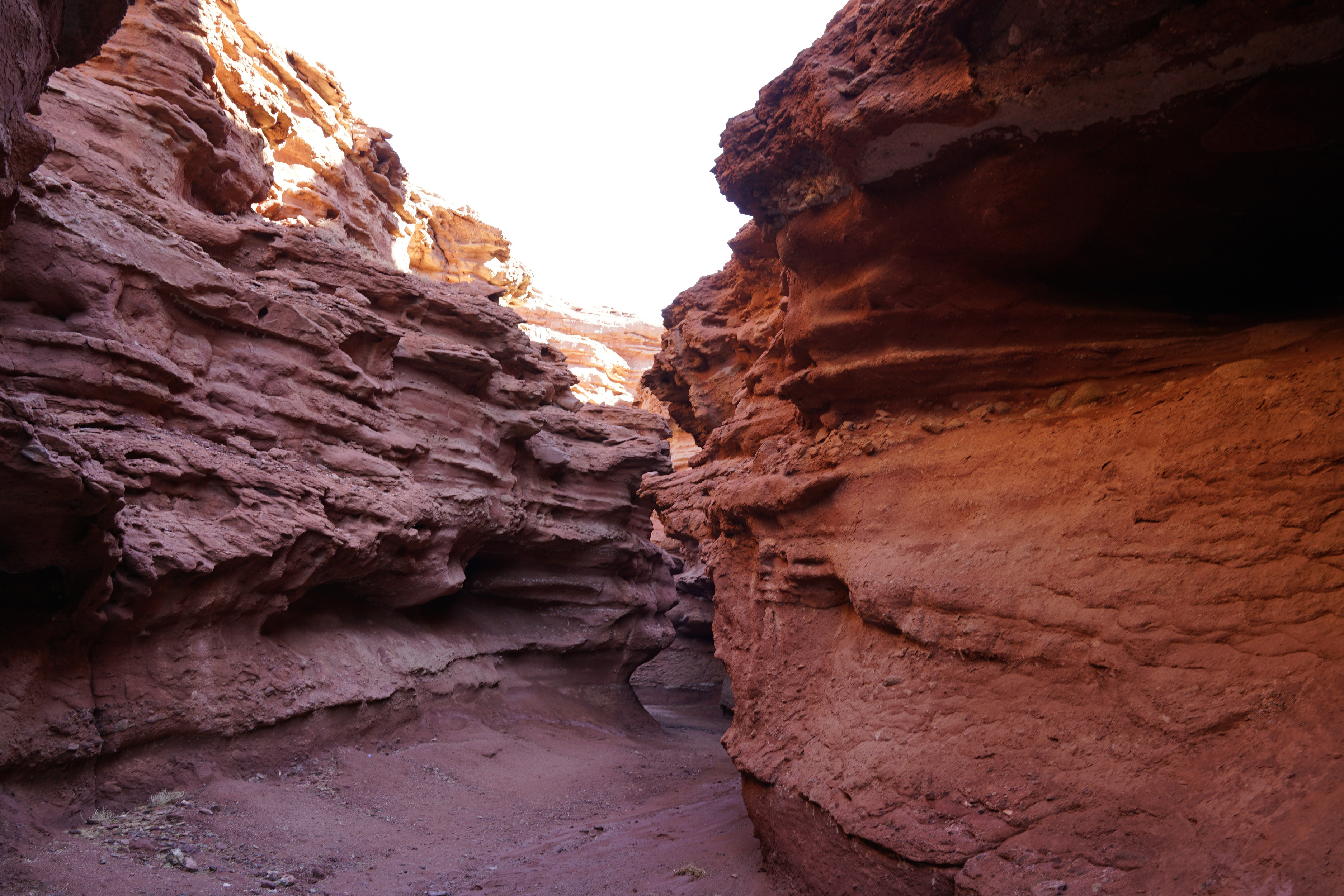 血战敖伦布拉格剧照的剧照