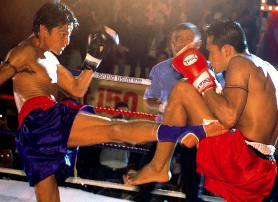 阿虎剧照的剧照