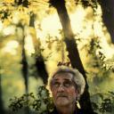 五月碧云天剧照