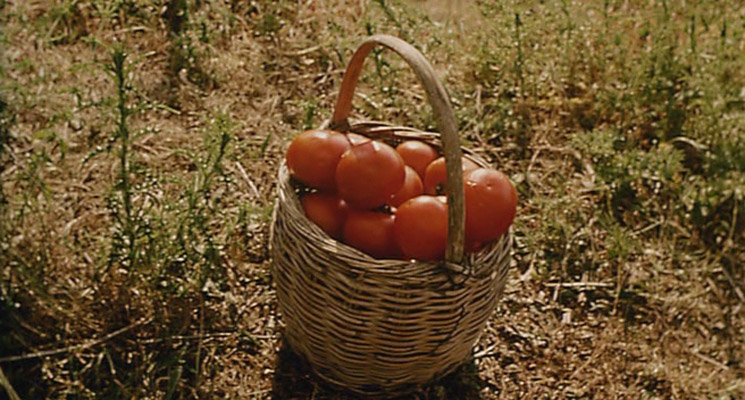 五月碧云天剧照的剧照