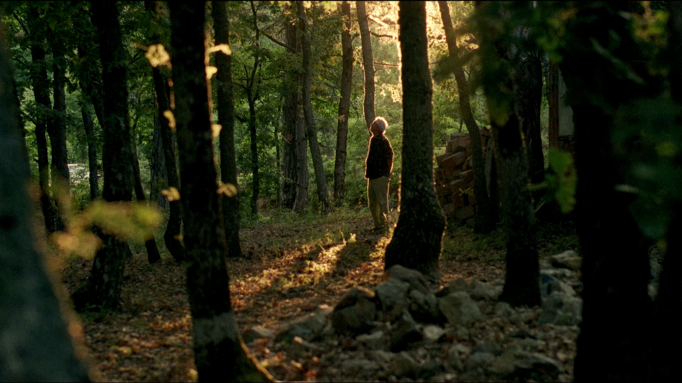 五月碧云天剧照的剧照