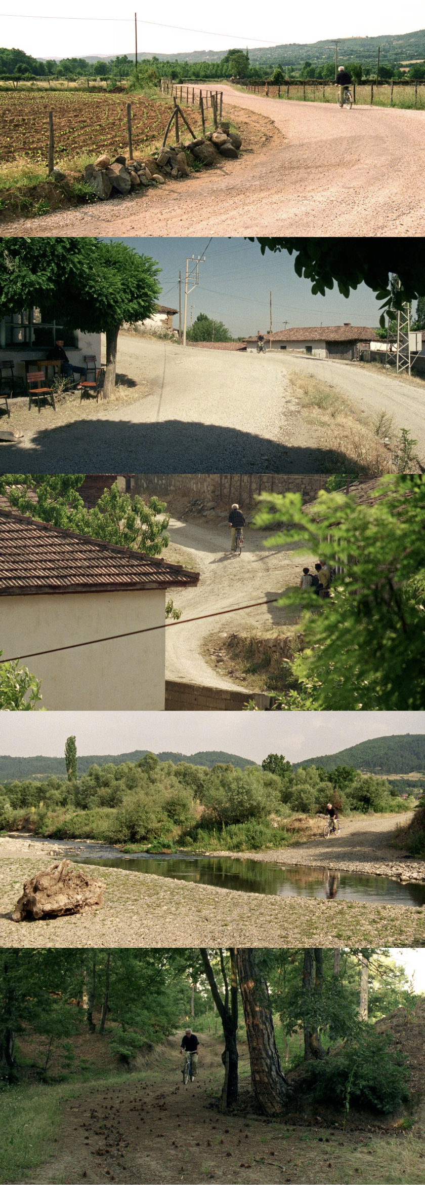 五月碧云天剧照的剧照