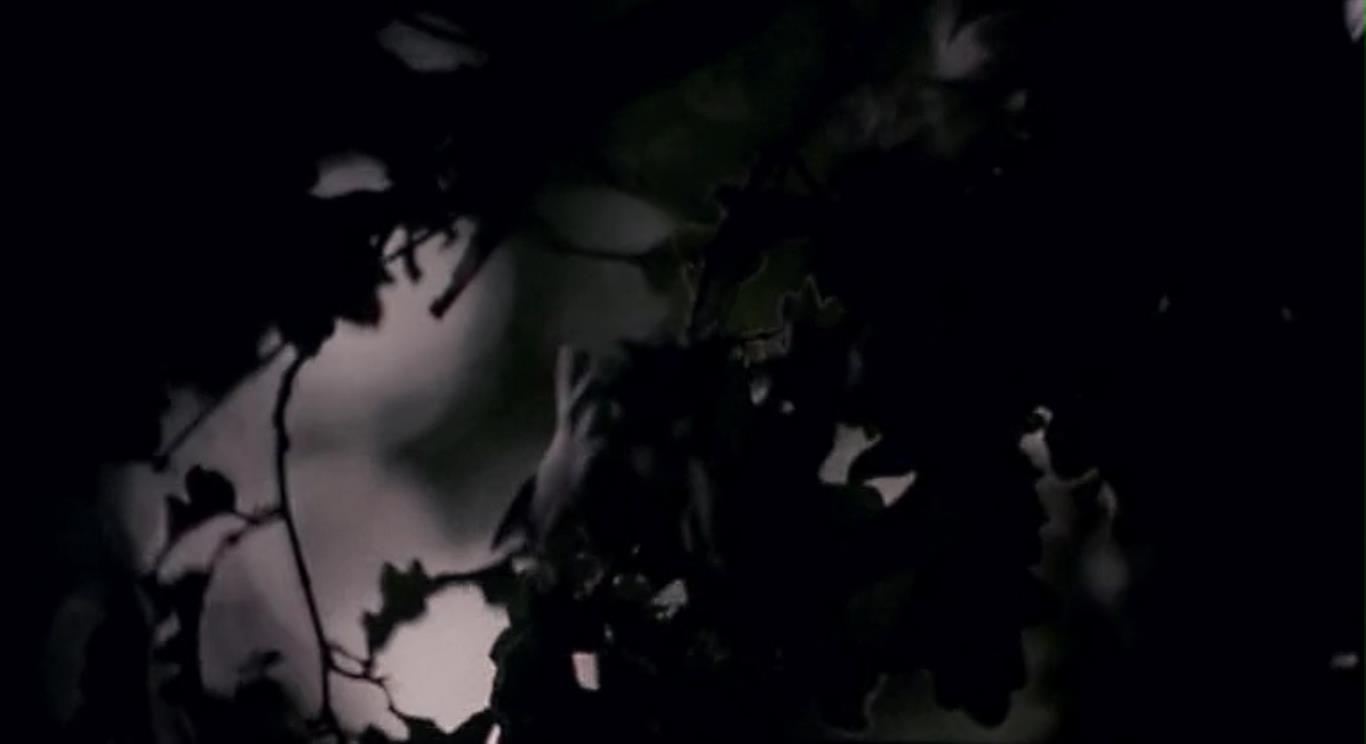 五月碧云天剧照的剧照