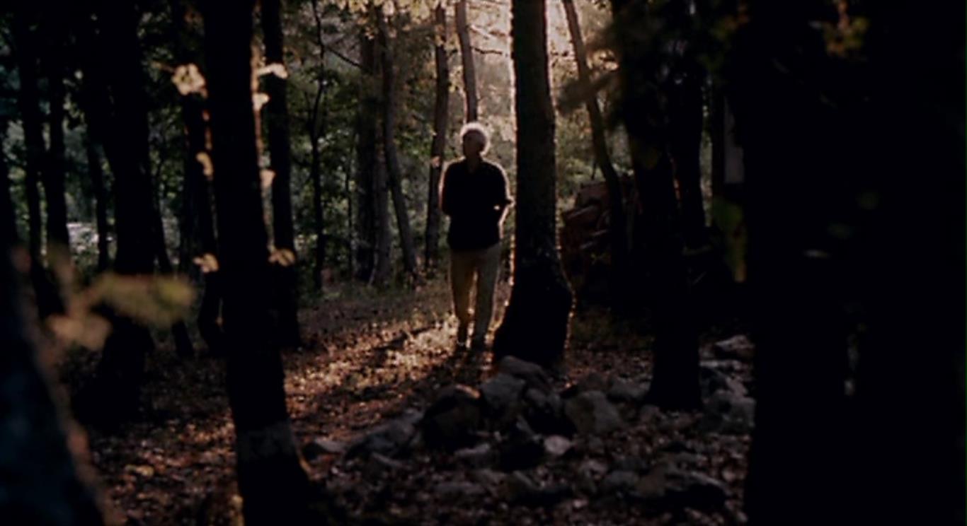 五月碧云天剧照的剧照