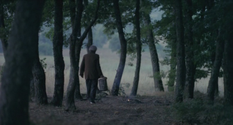 五月碧云天剧照的剧照