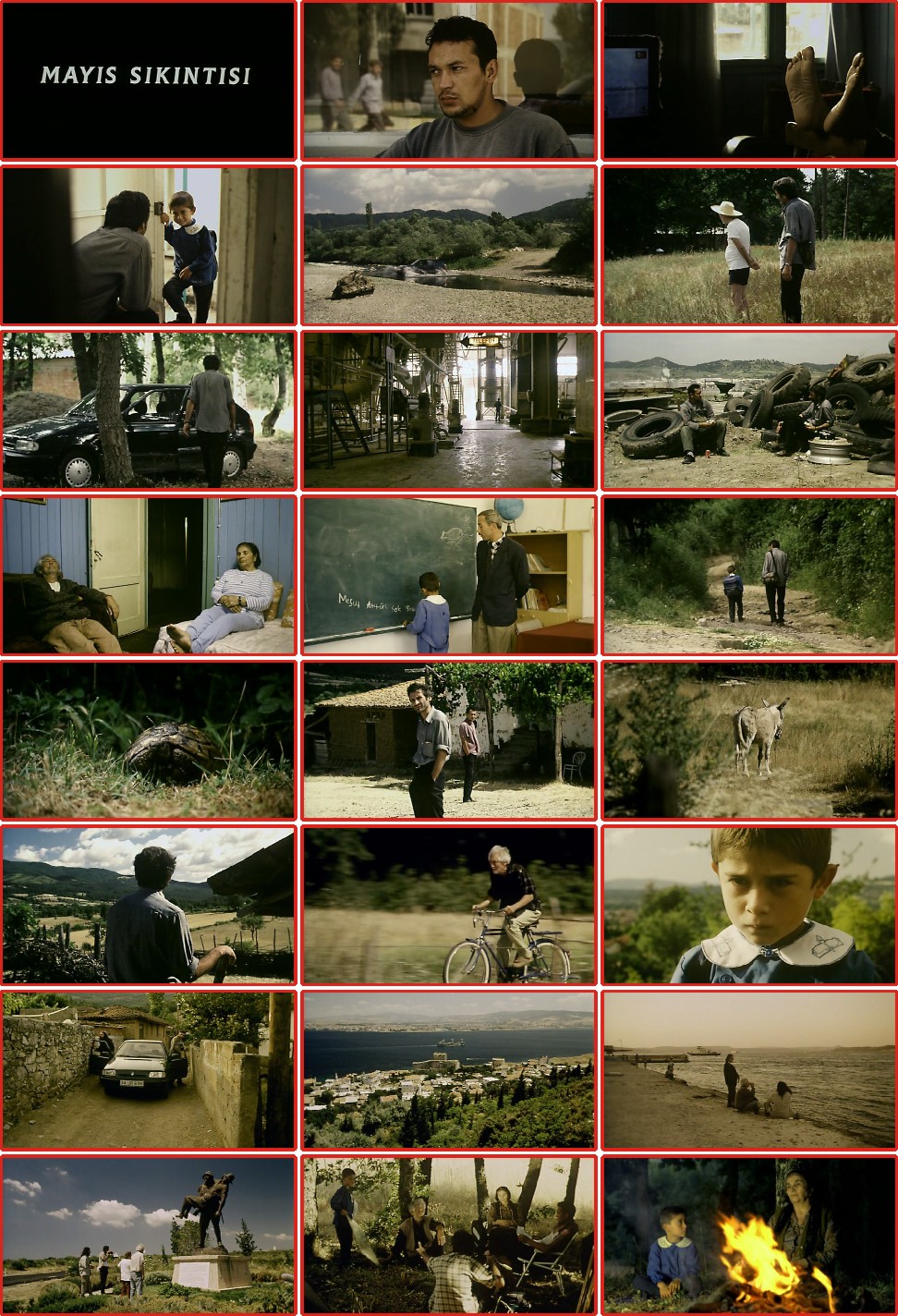 五月碧云天剧照的剧照