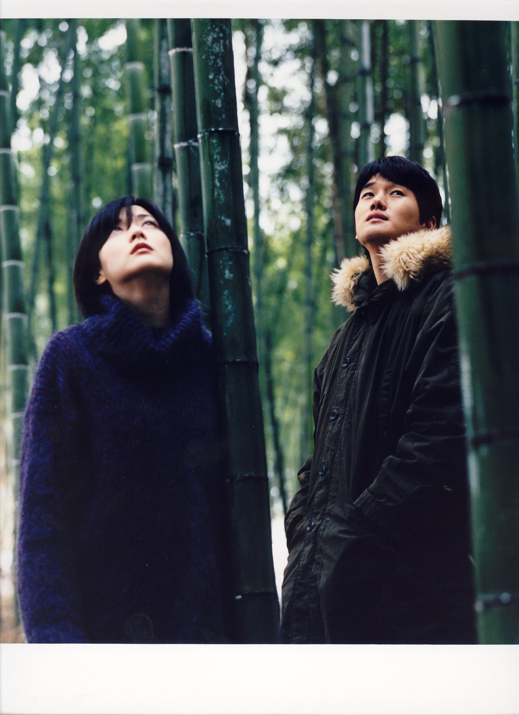 春逝剧照的剧照